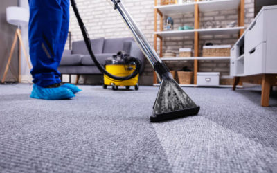 Top Carpet Cleaning Tips for Homes in Mountain House, CA